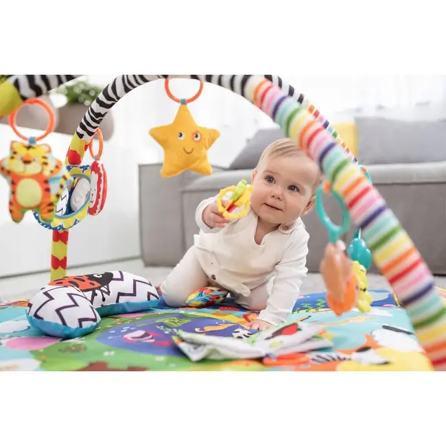 Salteluta interactiva, Lionelo, Anika, Cu jucarii, Oglinda, Perna, Conform cu standardul european de securitate EN71, Multicolor BYNLO-ANIKA_PLUS_BLUE/YELLOW