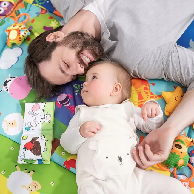 Salteluta interactiva, Lionelo, Anika, Cu jucarii, Oglinda, Perna, Conform cu standardul european de securitate EN71, Multicolor BYNLO-ANIKA_PLUS_BLUE/YELLOW