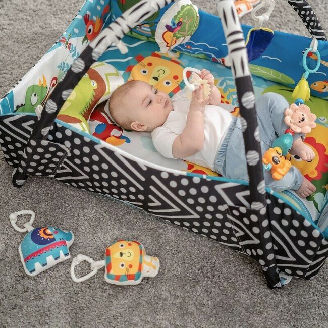 Salteluta interactiva, Lionelo, Anika, Cu jucarii, Oglinda, Perna, Conform cu standardul european de securitate EN71, Multicolor BYNLO-ANIKA_PLUS_BLUE/YELLOW