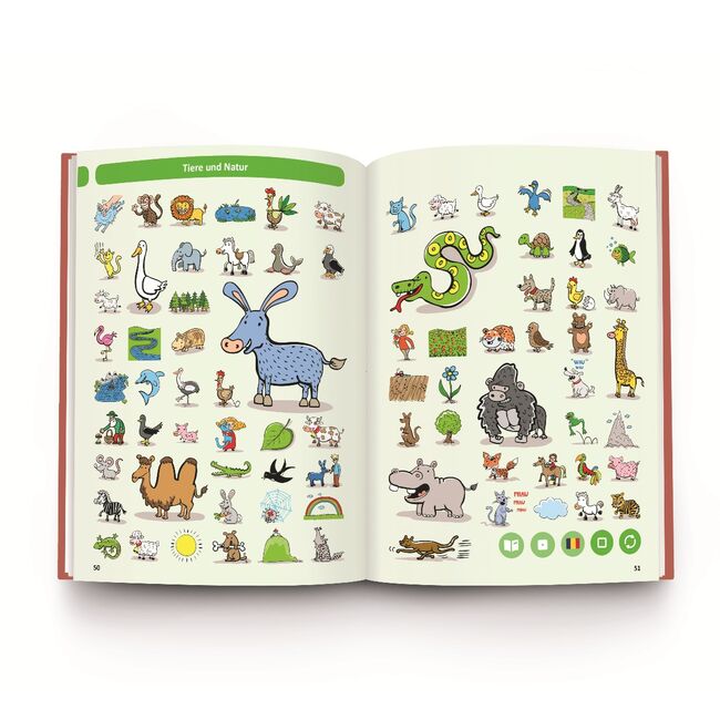 Raspundel Istetel, carte Dictionar German-Roman BKF55796