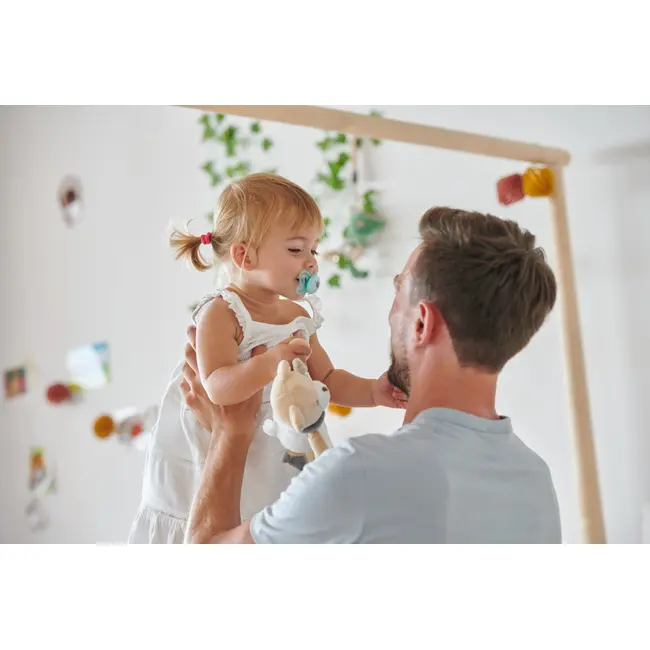 Suzeta Chicco PhysioForma Light, 2bucati, bleu, 6-16luni CHC7103821-7