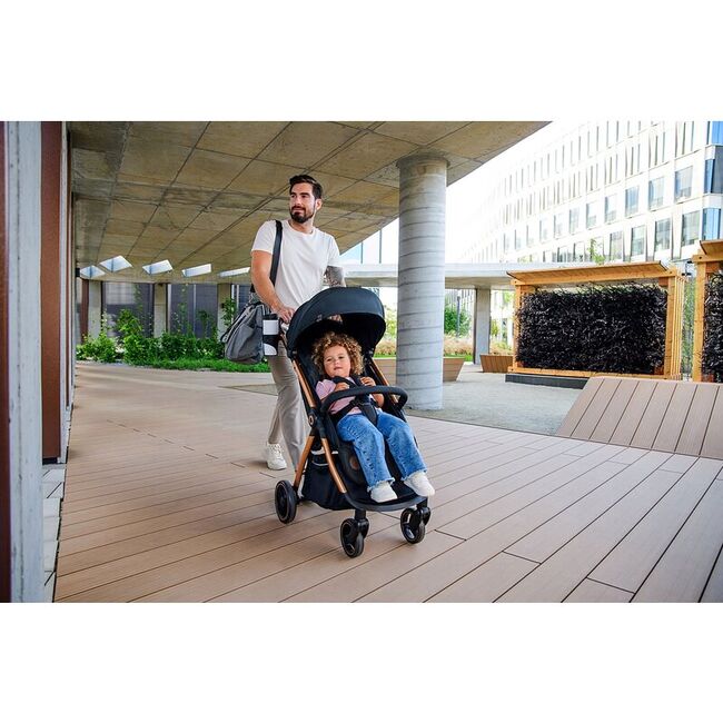 Carucior sport, Lionelo, Ingrid, Capotina impermeabila cu filtru UPF50+, Pana la 22 Kg, Spatar reglabil in 3 pozitii, Include suport pahar si plasa de tantari, Sistem pentru pliere automata, 6 luni+, Roz BYNLO-INGRID_PINK_MAUVE