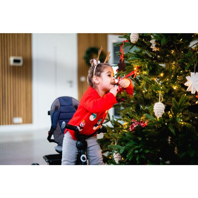 Tricicleta copii, Lionelo, Haari, Ultrapliabila, Multifunctionala, Suport picioare, Control al directiei, Scaun reversibil, Rotire 360 grade, Conform cu standardul european de securitate EN71, Verde BYNLO-HAARI_GREEN_EMERALD