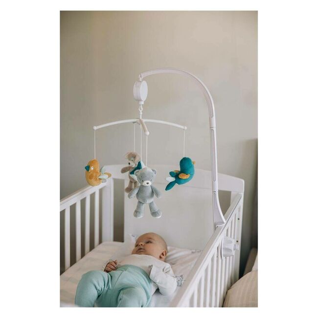 Carusel muzical, Free2Play, Pentru patut, Cu 5 jucarii din plus, Max the Bear BYN83532