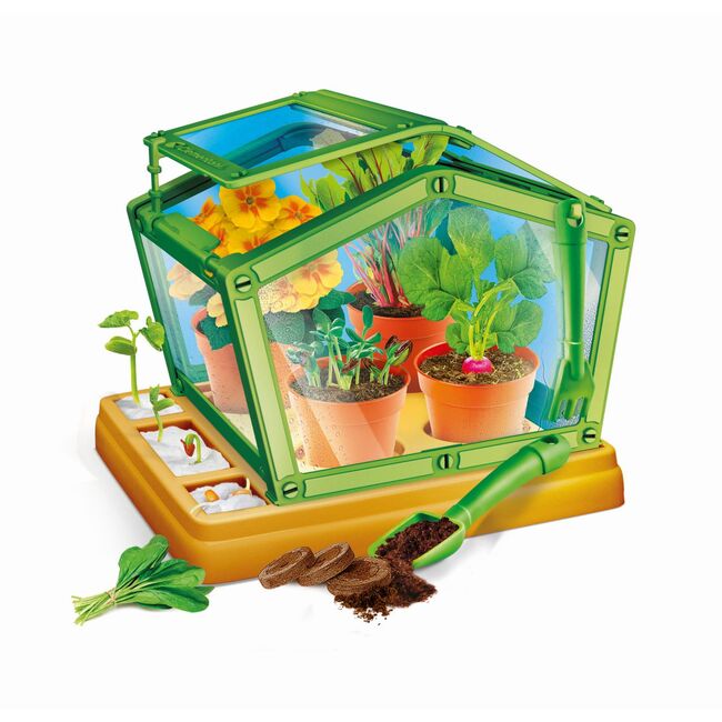 STIINTA SI JOACA PRIMA MEA SERA VIV1026-50207