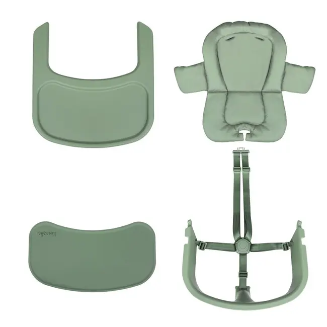 Scaun de masa multifunctional Megan, Lionelo, Din lemn de fag, 6 luni- adult, Reglabil pe inaltime, Husa impermeabila, Tavita silicon, Suport de picioare reglabil, Greutate maxima 110 Kg, Verde BYNLO-MEGAN_GREEN_WOOD