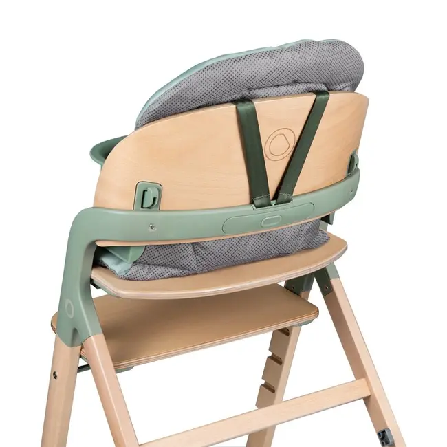 Scaun de masa multifunctional Megan, Lionelo, Din lemn de fag, 6 luni- adult, Reglabil pe inaltime, Husa impermeabila, Tavita silicon, Suport de picioare reglabil, Greutate maxima 110 Kg, Verde BYNLO-MEGAN_GREEN_WOOD