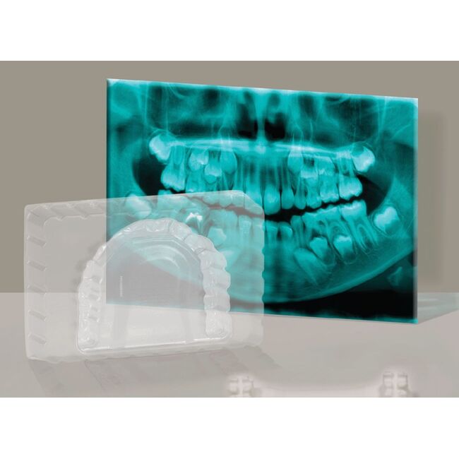 SET EDUCATIONAL LA DENTIST VIVHT052316