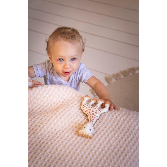 Cutie cadou girafa sophie cu card tip felicitare vu616400