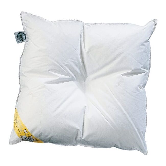 Pilota Premium Bebelusi Leipold Artlander 80x80 Cm Pene Si Puf ,   Bestseller Germania Pjbc2005