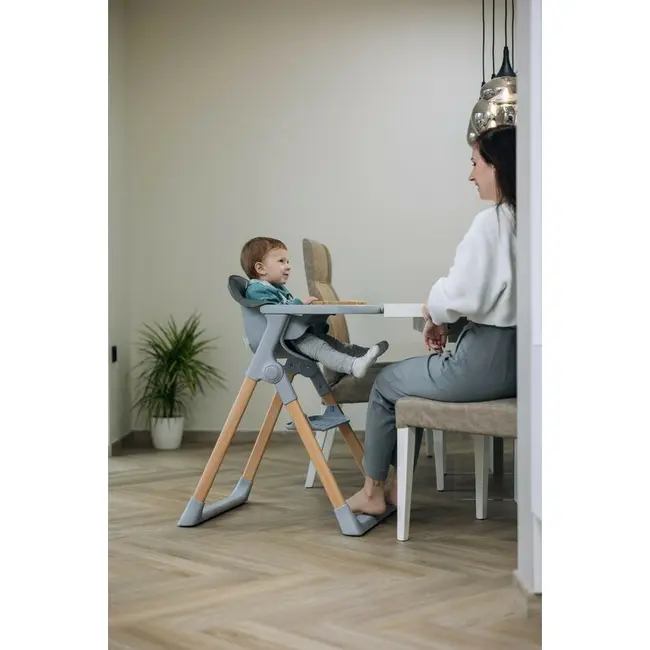 Scaun de masa 2 in 1, FreeON, Flexi Grow, Transformabil, Pliabil, Contine 2 accesorii, 0 luni +, Gri BYN85192