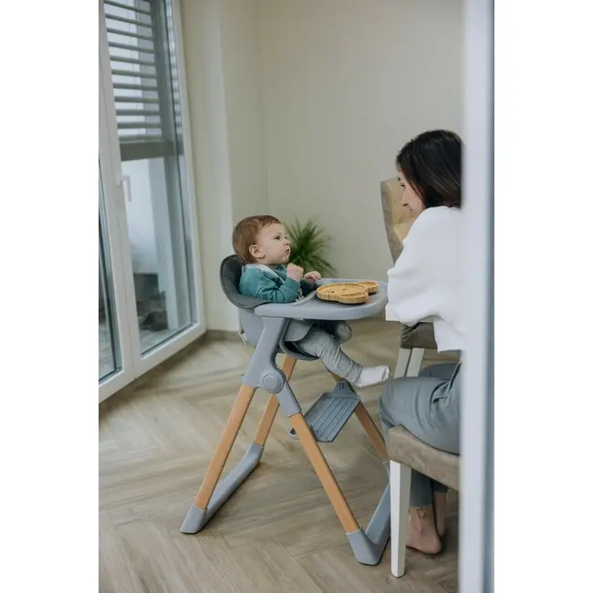 Scaun de masa 2 in 1, FreeON, Flexi Grow, Transformabil, Pliabil, Contine 2 accesorii, 0 luni +, Gri BYN85192