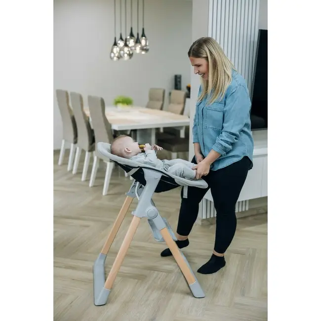 Scaun de masa 2 in 1, FreeON, Flexi Grow, Transformabil, Pliabil, Contine 2 accesorii, 0 luni +, Gri BYN85192
