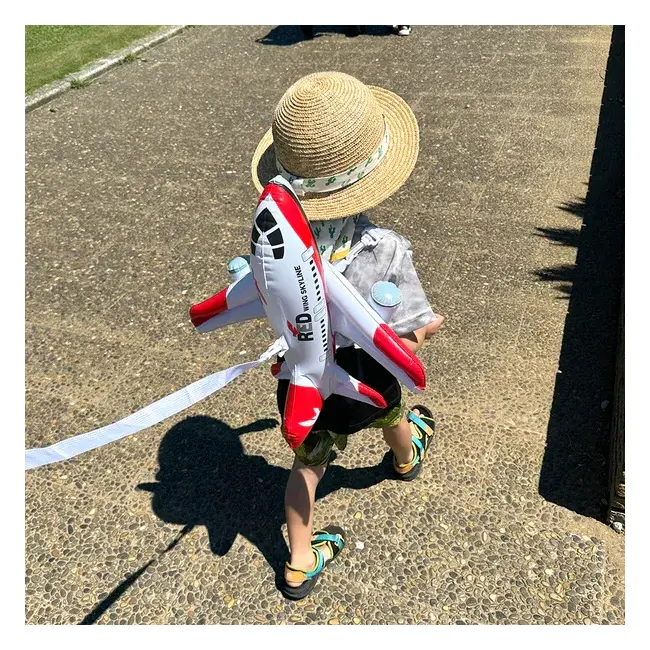 Perna bebelus tip rucsac, ham 3 in 1 ,   protectie cap si spate cu design avion