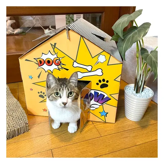 Casuta pentru pisici, din carton, albastru portocaliu