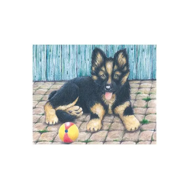 Puzzle de lemn, tip cuburi, copii 3 ani+, 6 modele cu animale, goki - joc de indemanare