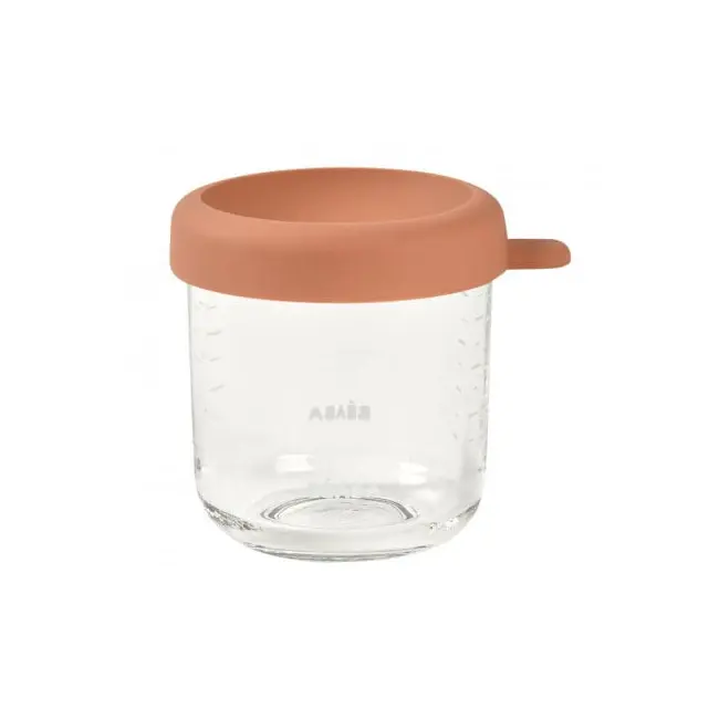 Recipient ermetic sticla Beaba 250 ml Terracotta