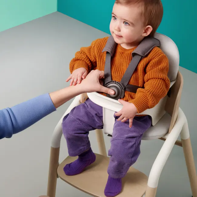 Set bebelusi pentru scaun Bugaboo Giraffe Black