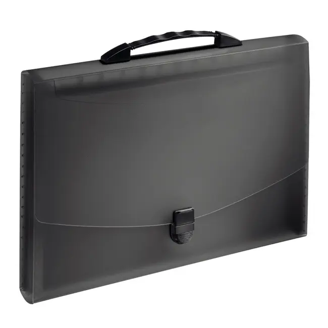 Mapa tip proiect cu maner Esselte VIVIDA, PP, negru BPTCSL080904