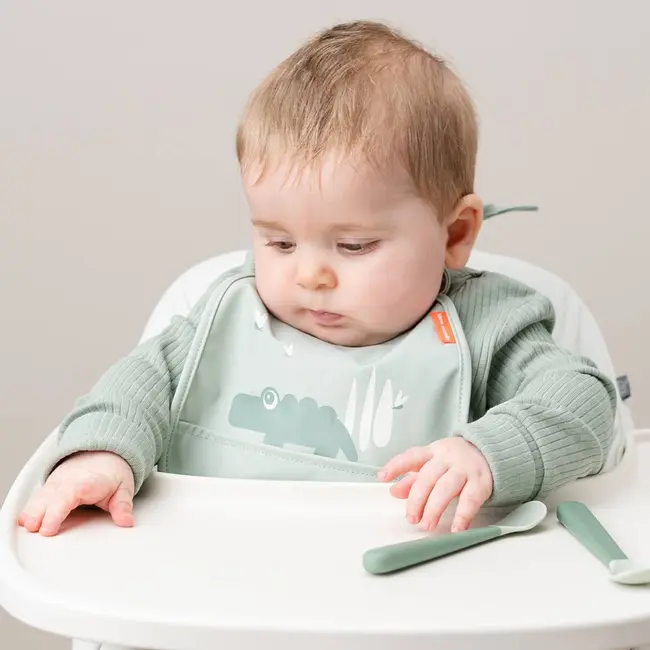 Set 2 Bavetici cu buzunar Done by Deer Croco Green