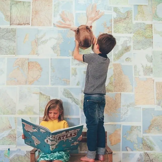 Decoratiune Wild  Soft Cap de Elan - Alfred