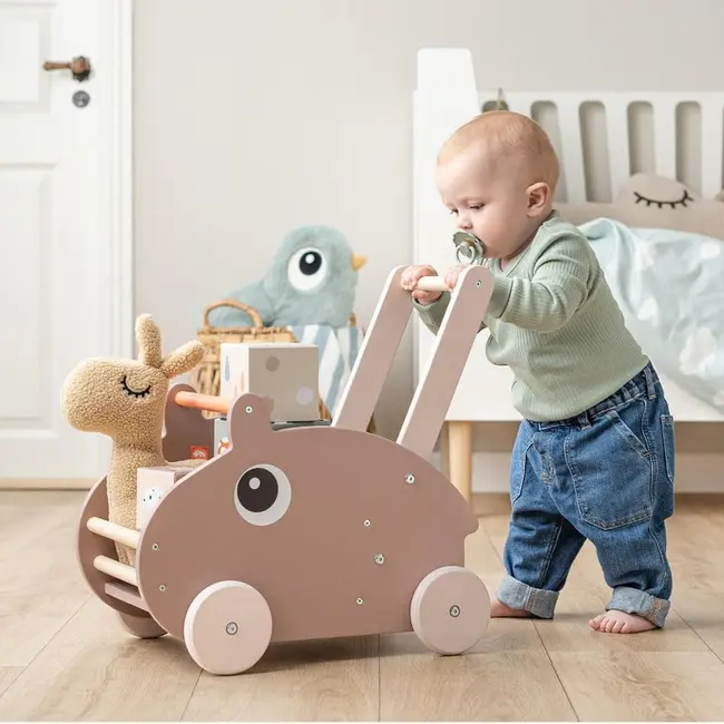 Jucarie de impins Done by Deer din lemn Ozzo Powder