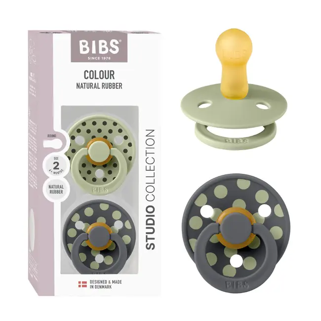 Bibs - set 2 suzete colour studio collection polka dots, tetina rotunda, 6 luni+-sage/iron bbb12034105