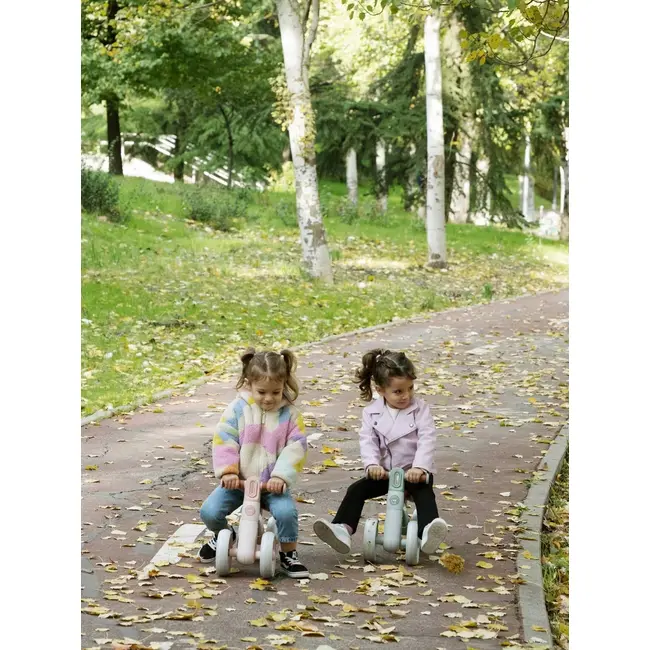 Bicicleta De Echilibru Saro , &oelig;ride Free,   Mint, Fara Pedale, Cu 4 Roti Pentru Stabilitate (2 Fata + 2 Spate), Lumina Frontala, 12+ Luni, Max 25 Kg Pjb89000