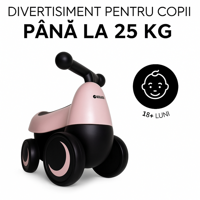 Bicicleta fara pedale Ride On 1st Ride Four, +18 luni, Matt Pink, Hauck