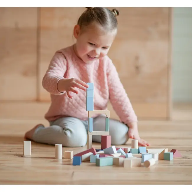 Jucarie din lemn, Cubika, Kit 50 de piese de constructie - Pastel