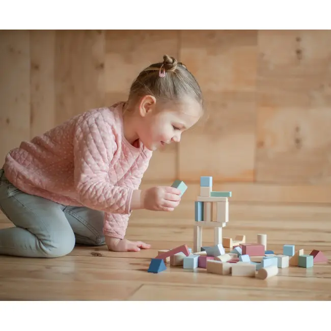 Jucarie din lemn, Cubika, Kit 50 de piese de constructie - Pastel