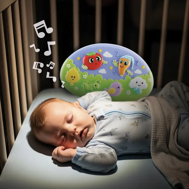 Jucarie muzicala - vise placute