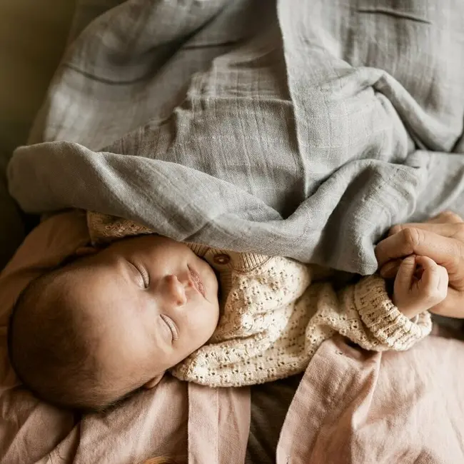 Set 2 scutece, Petite&Mars, Misty, Din muselina de bambus, Hipoalergenice, Dimensiuni mari, 120 x 120 cm, Certificate Oeko Tex Standard 100, Forest Fox BYN417366