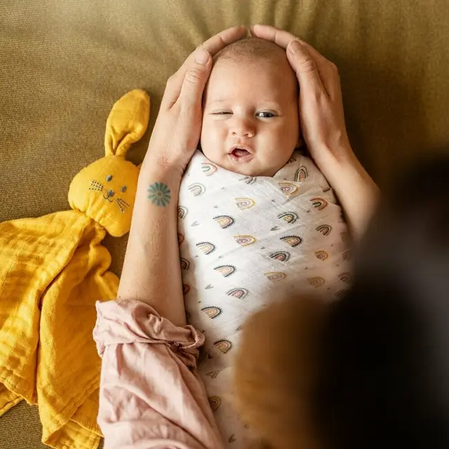 Set 3 scutece, Petite&Mars, Moussy, Din muselina de bambus, Hipoalergenice, 68 x 68 cm, Certificate Oeko Tex Standard 100, Lama Vibes BYN415365