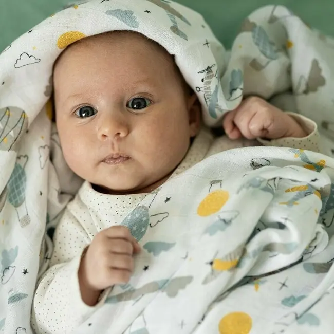 Set 3 scutece, Petite&Mars, Moussy, Din muselina de bambus, Hipoalergenice, 68 x 68 cm, Certificate Oeko Tex Standard 100, Whale Song BYN415368