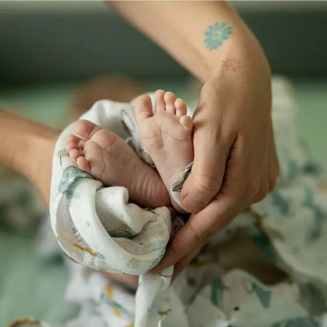 Set 3 scutece, Petite&Mars, Moussy, Din muselina de bambus, Hipoalergenice, 68 x 68 cm, Certificate Oeko Tex Standard 100, Whale Song BYN415368