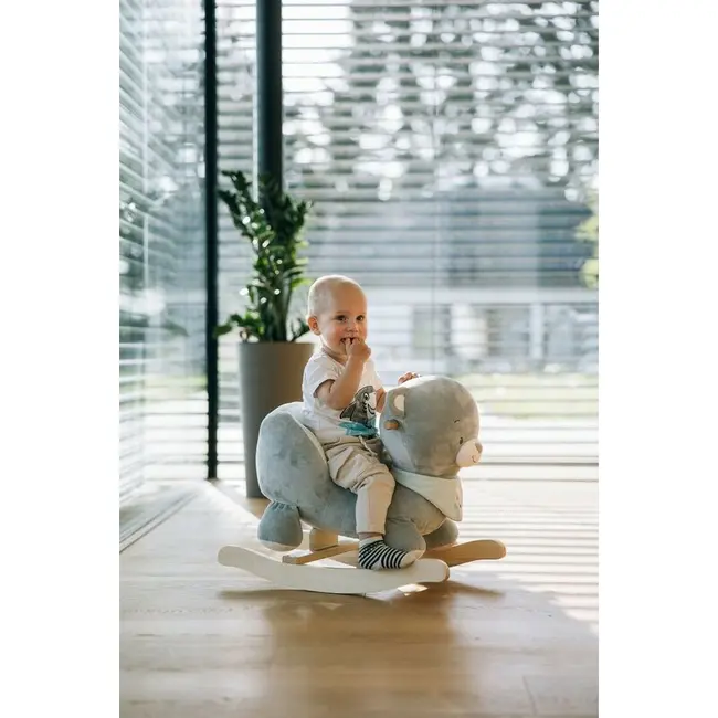 Balansoar, Free2Play, Max the Bear, Cu sa confortabila cu spatar, Din lemn, 18 luni+, Blue BYN83471