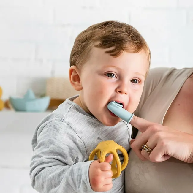 Set 2 periute de dinti pentru deget, Nattou, Cu peri moi, 0% silicon fara BPA, PVC sau ftalati, Include cutie depozitare, 0 luni+, 5 cm, Roz BYN876681