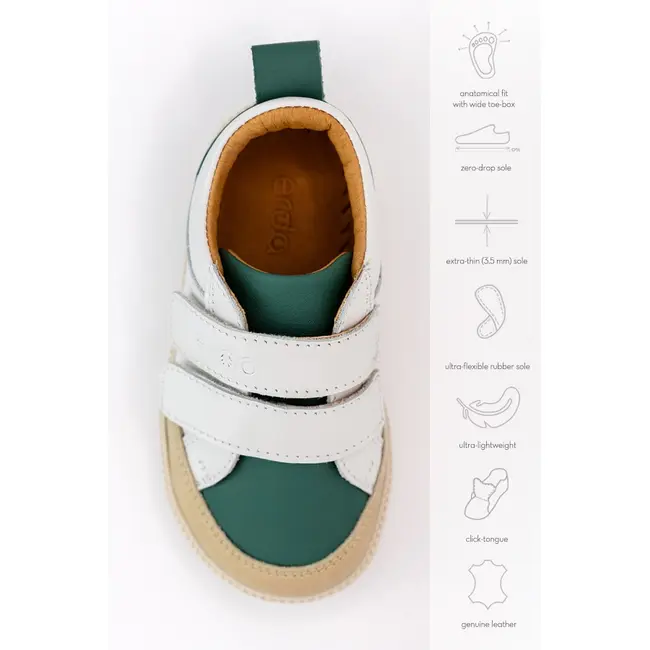 Pantofi barefoot sale erda eris green