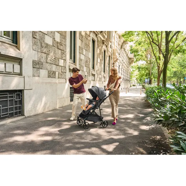 Carucior copii 3 in 1 Chicco Seety, cu scaun auto Kory Plus I-Size, Sage (Verde), 0luni+ CHC8709776+8709876+8714645-8