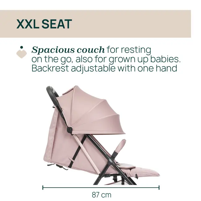 Carucior sport Chicco Taormina, Blush (Roz), 0luni+ CHC8715942-8