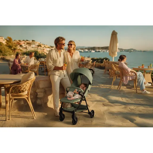 Carucior sport Chicco Taormina, Sage (VerdeGri), 0luni+ CHC8715976-8