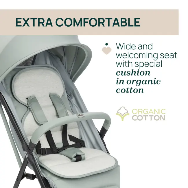 Carucior sport Chicco Taormina, Sage (VerdeGri), 0luni+ CHC8715976-8