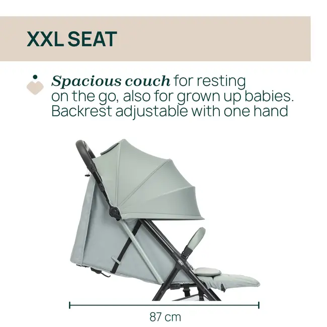 Carucior sport Chicco Taormina, Sage (VerdeGri), 0luni+ CHC8715976-8