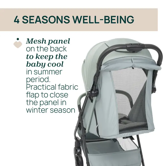 Carucior sport Chicco Taormina, Sage (VerdeGri), 0luni+ CHC8715976-8