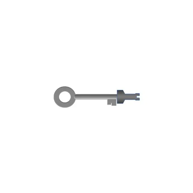 Siguranta impotriva scoaterii cheilor din usa KeyFix REER 7210