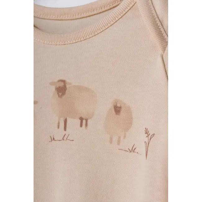 Set 3 piese nou nascut, Lamb, BabyCosy, 100%bumbac organic (Marime: 3-6 Luni) JEMBC-CSY8188-3