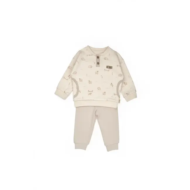 Set bluzita cu pantalon, Lamb, BabyCosy, 100%bumbac organic (Marime: 6-9 luni) JEMBC-CSY8185-6