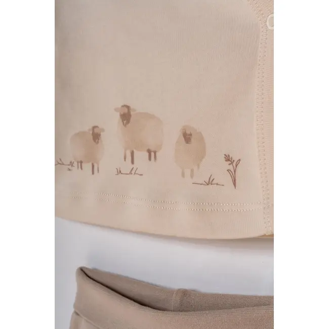 Set de 5 piese pentru nou nascut, Lamb, BabyCosy JEMBC-CSY8189