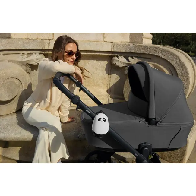 Dispozitiv de leganat automat carucior, Panda Rocker, Jane, 3 Niveluri, Motor Silentios, USB-C BYN8420421091739